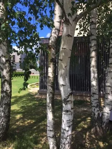 Apartment Druskininku Slaitas Druskininkai